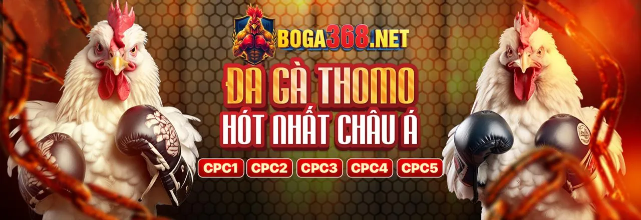 Đá Gà Trực Tuyến Banca30
